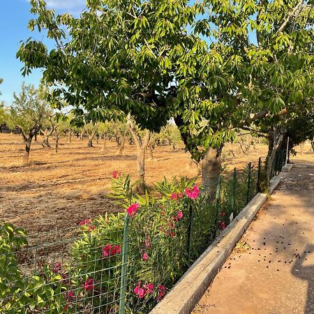 Trulli Ulivi Villa Putignano Ngoại thất bức ảnh